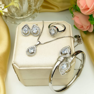 Fancy Silver Plated Zircon Combo Set