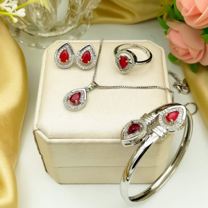 Fancy Silver Plated Zircon Combo Set